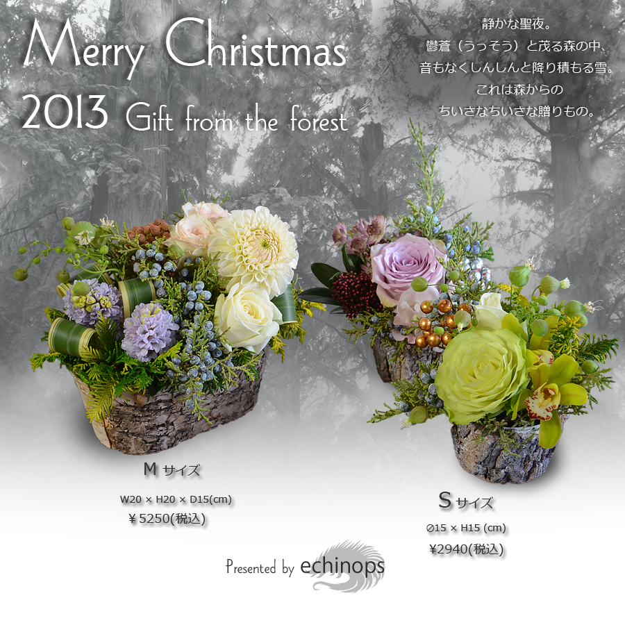 クリスマス特集　Gift from the forest